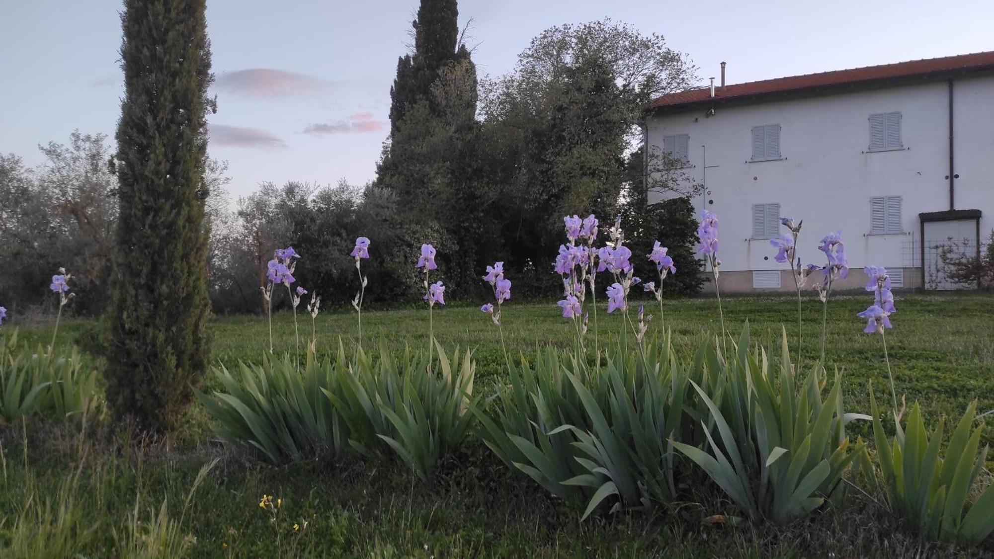 Borgo Iris Pietraia Exterior foto
