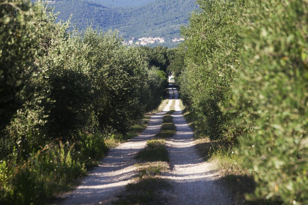 Borgo Iris Pietraia Exterior foto